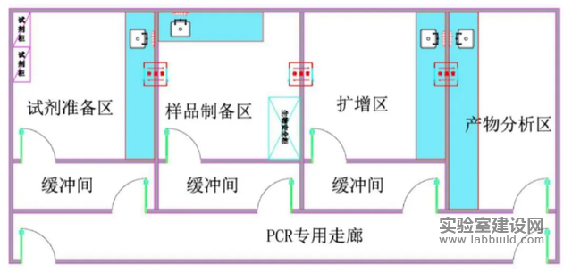 PCR实验室设计