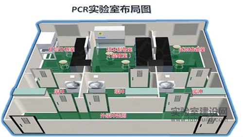 PCR实验室设计布局