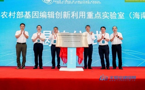 打好种业翻身仗！“南繁硅谷”首个农业农村部重点实验室揭牌