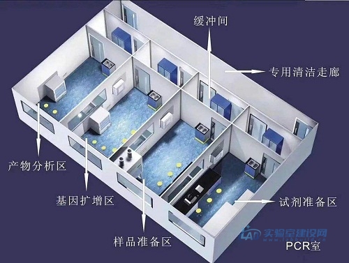 pcr实验室设计