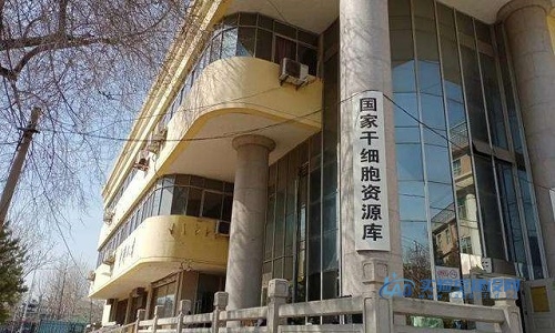 干细胞研究中心实验室设计要求（干细胞实验室设计方案）