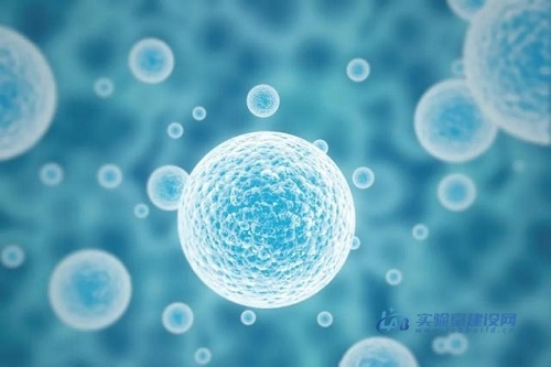 国内干细胞研究机构概况（干细胞研究机构名单）