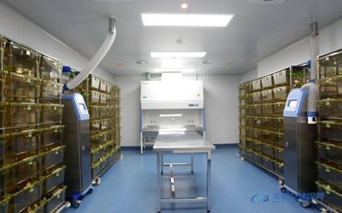 动物实验室建设国家标准（教你如何建设动物实验室）