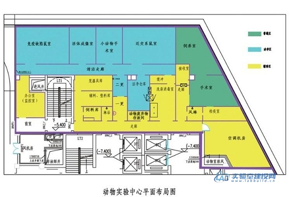 动物实验室建设国家标准（教你如何建设动物实验室）