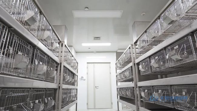 实验动物房建设