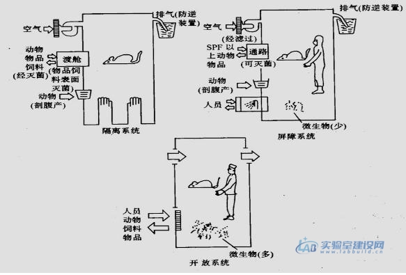 动物实验室设计方案精选，如何设计建造实验动物房？