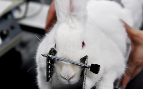 动物实验室设计方案精选，如何设计建造实验动物房？