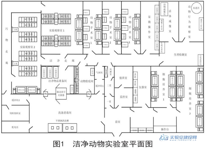 一文搞懂洁净动物实验室建设与运行管理规范