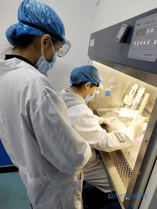 关于动物实验室，你知道多少呢？
